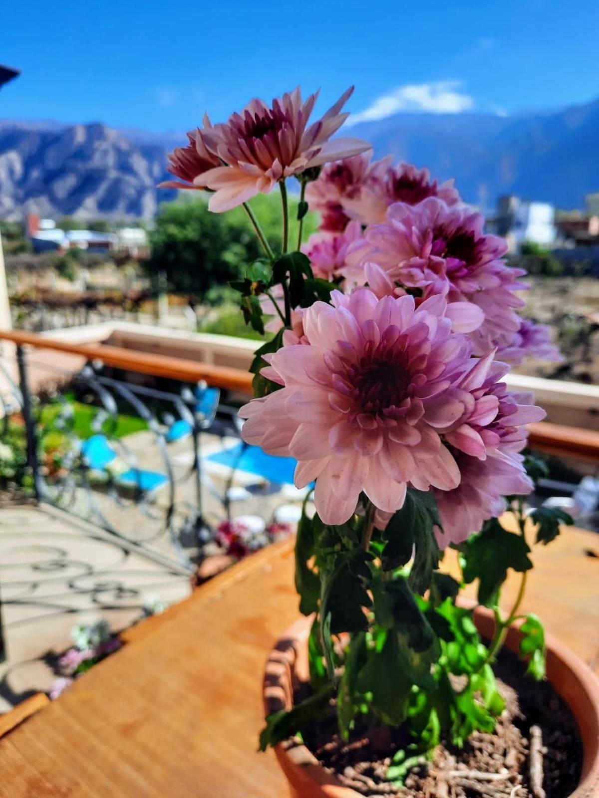 Luna De Cafayate Hotel Boutique Esterno foto